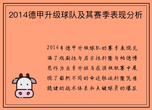 2014德甲升级球队及其赛季表现分析